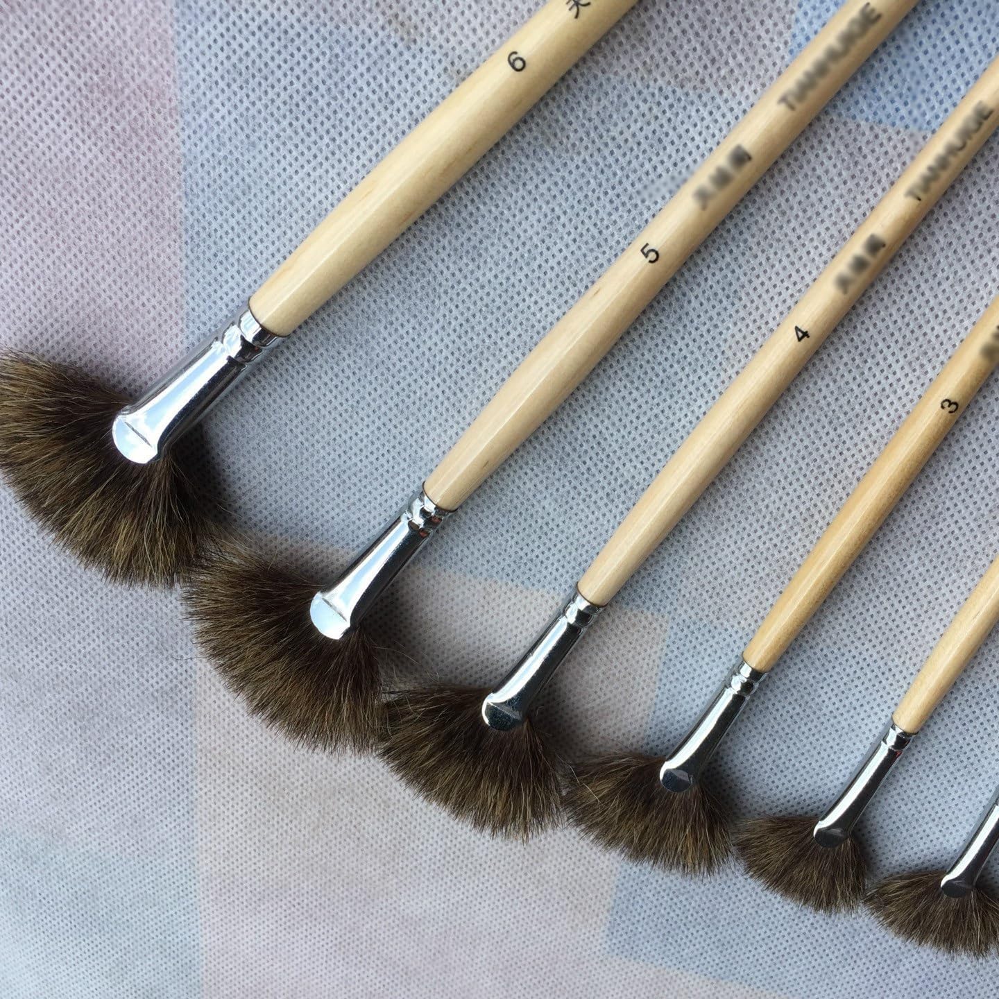 Ensemble de pinceaux pour Aquarelle et Peinture à l'huile en Forme d'éventail avec 6 stylos d'art (Beige comme illustré)