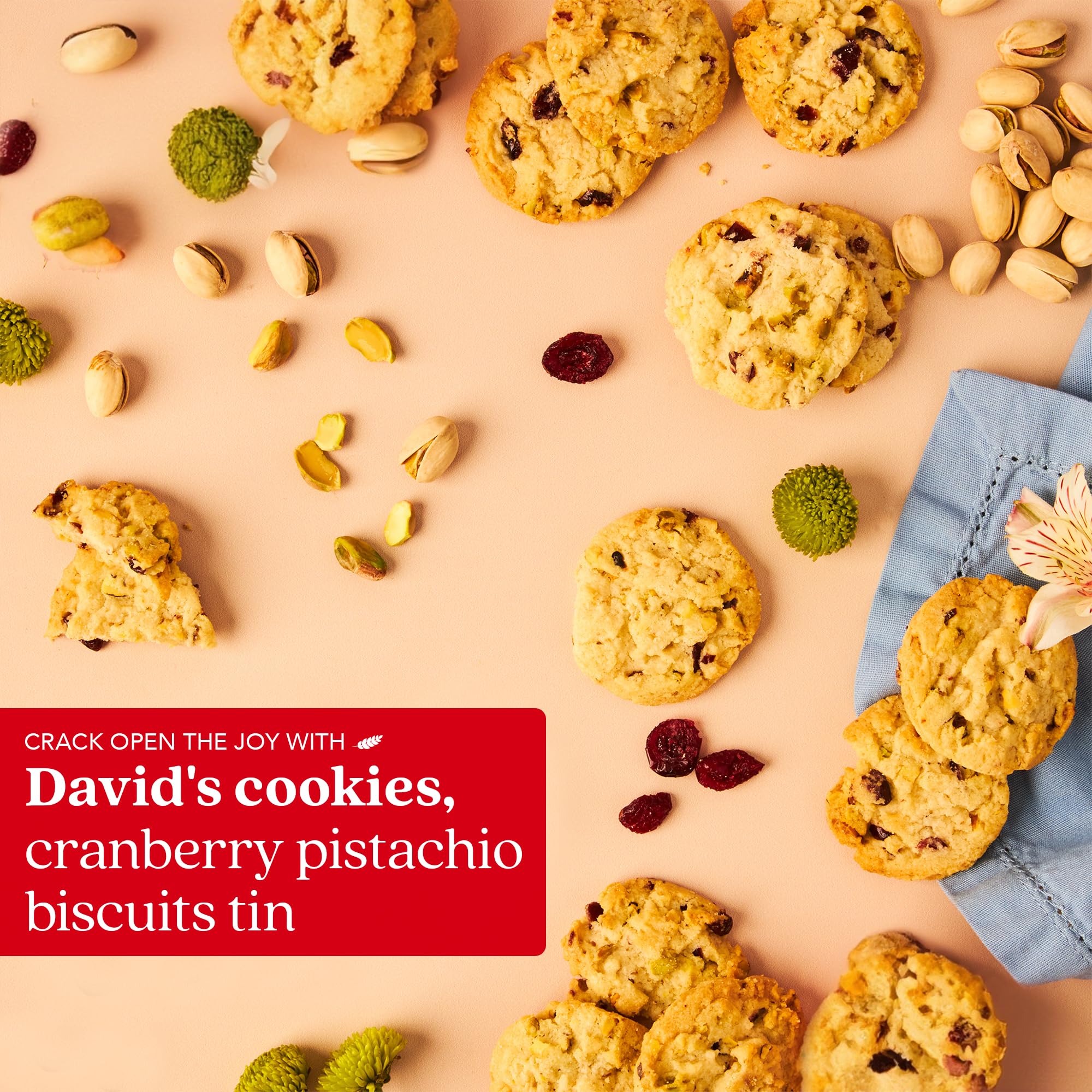 David's Cookies Celebrate Moms Cranberry-Pistazien-Beksdose – unwiderstehliche Crunch, Snacks und Bäckerei-Leckereien – ideal für Snacks und als Geschenk – Gourmet-Muttertagsgeschenk, 264 ml