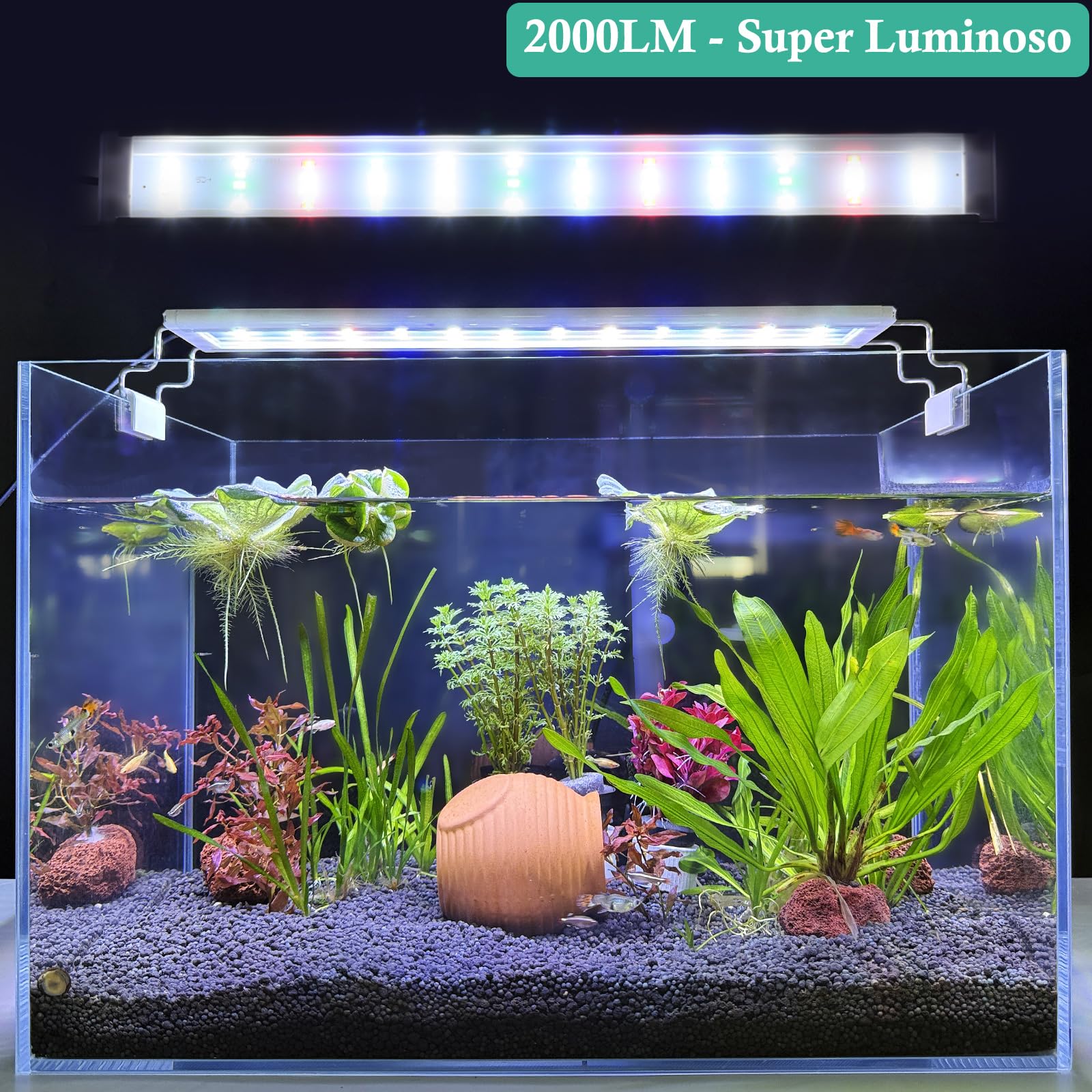 Rampe LED Aquarium Spectre Complet, Lumière LED Aquarium Plantes avec Minuterie, Supports Extensibles Stables 40-60cm, Lumière Classique pour Petit Nano Mini Aquarium Eau Douce