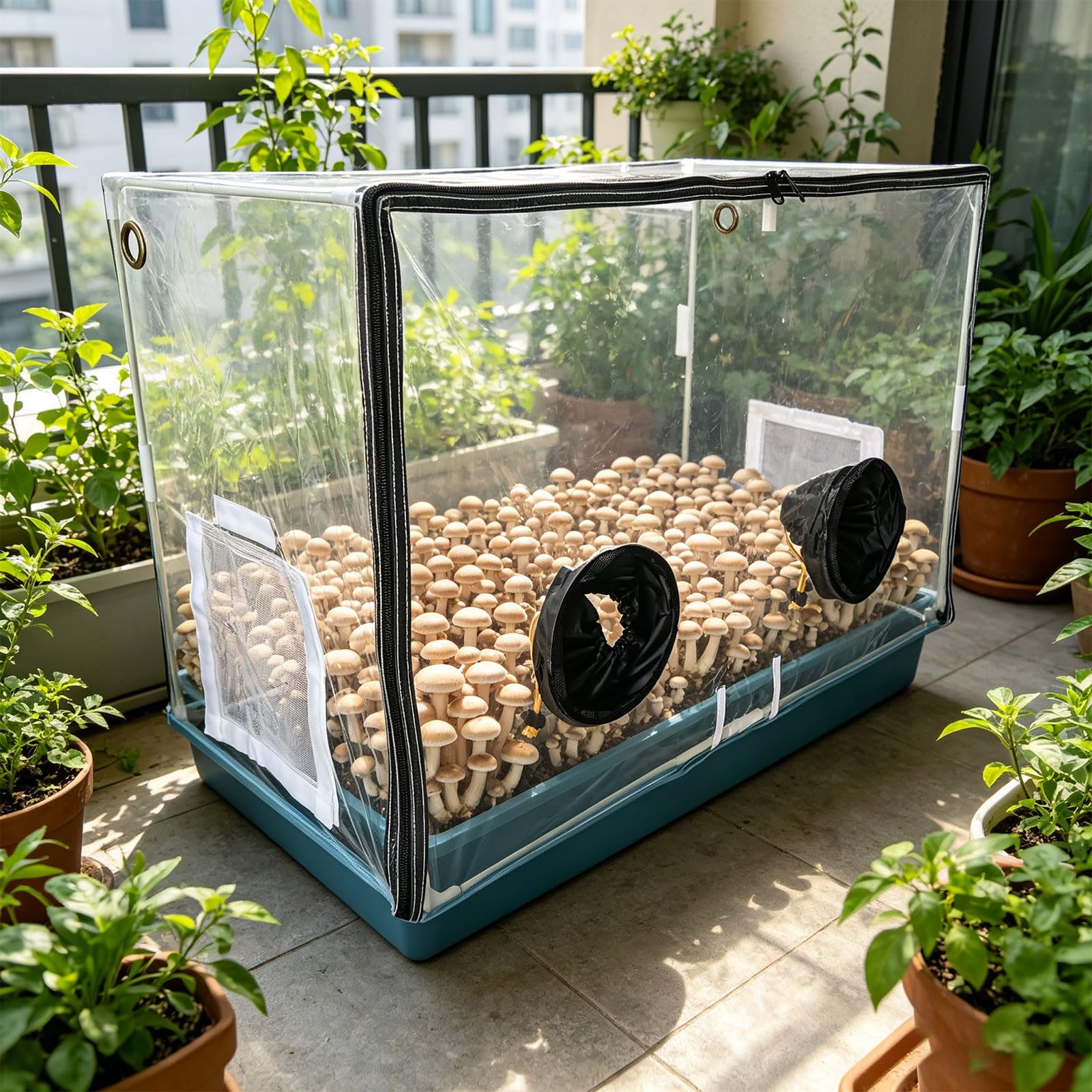 Forniture da giardinaggio per interni per la crescita funghi con struttura in PVC impermeabile per piantare in casa set funghi per hobby