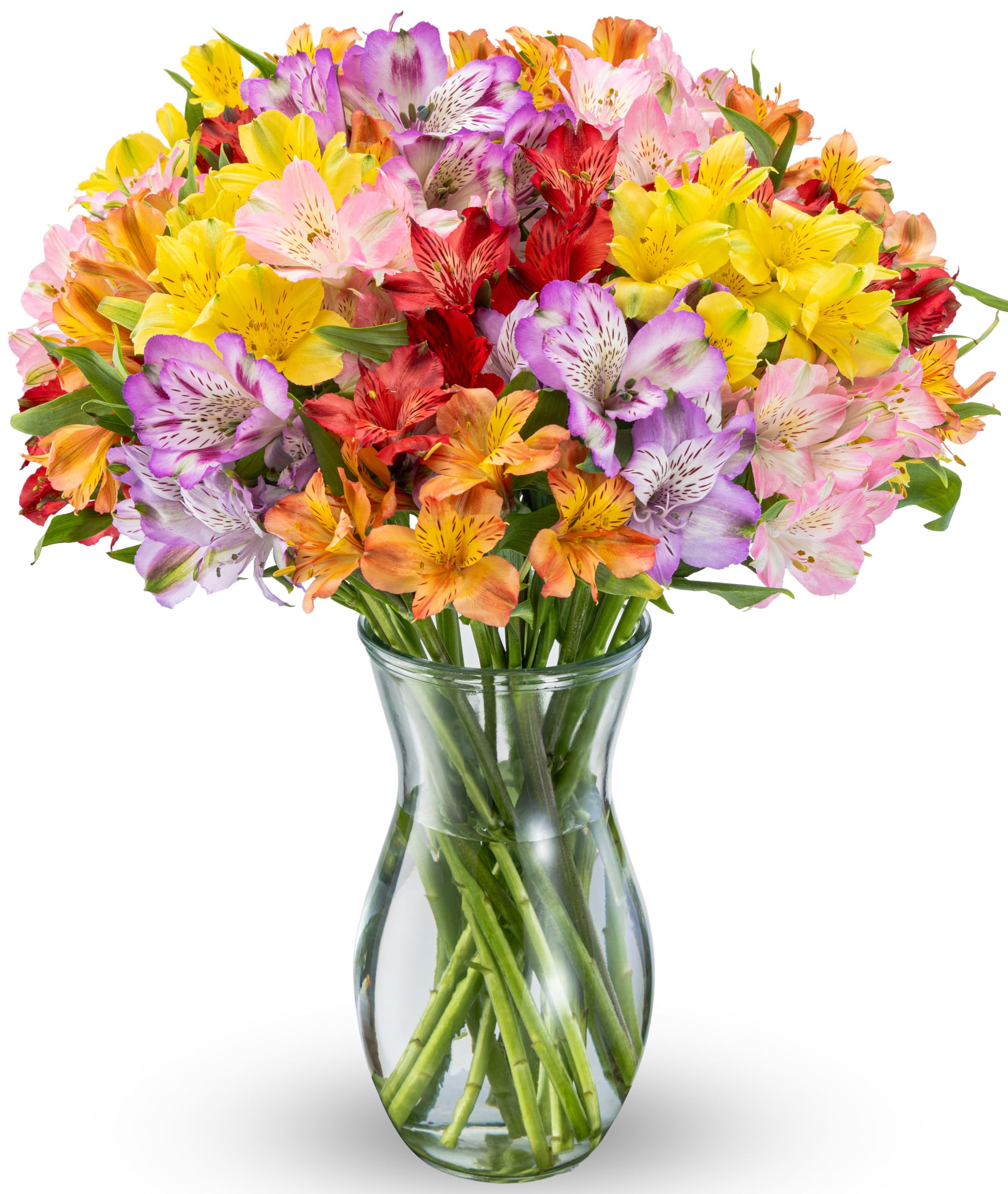 Benchmark Bouquets Alstroemeria Bouquet