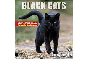 Small Spaces Mini Wall Calendar - Black Cats 2024 Hangable Monthly by Red Ember