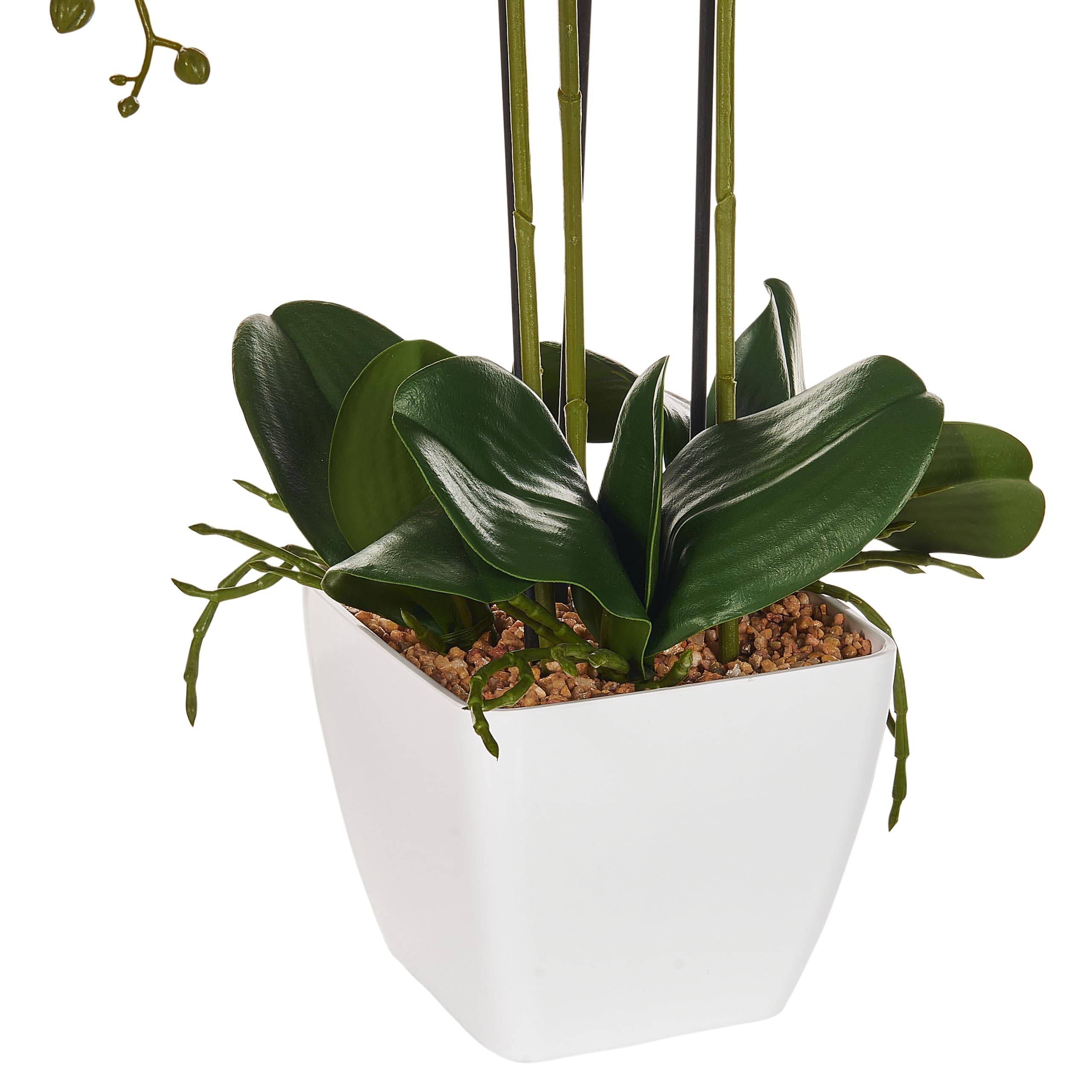 Plante Artificielle en Pot Orchidée 59 cm Décoration Intérieur Plastique Orchid