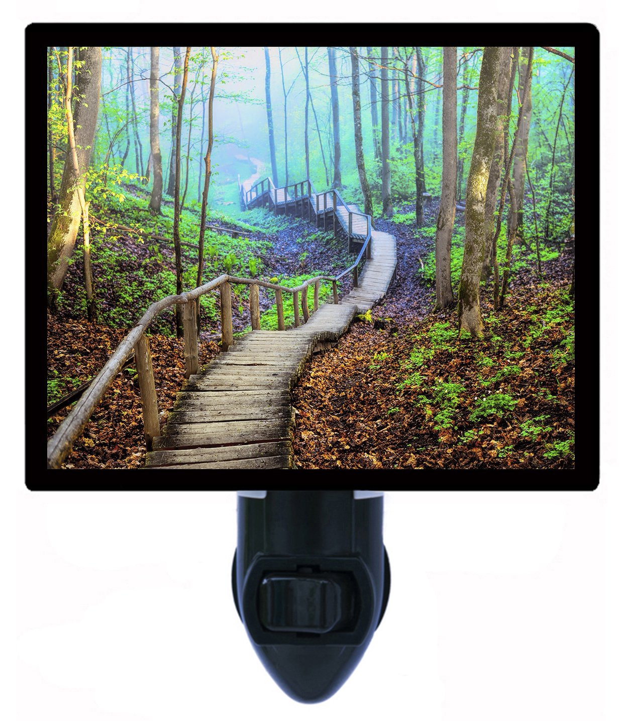 Night Light Foggy Climb Landscape Trees Forest Path LED Night Light