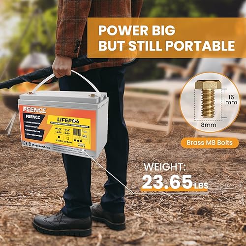 Miniatura 3 de Batería LiFePO4 de 12 V 100 Ah 1280 Wh baterías de litio 12 V 100 A BMS, más de 8000 ciclo profundo, soporte en 4S8P, para RV, cámper, solar,