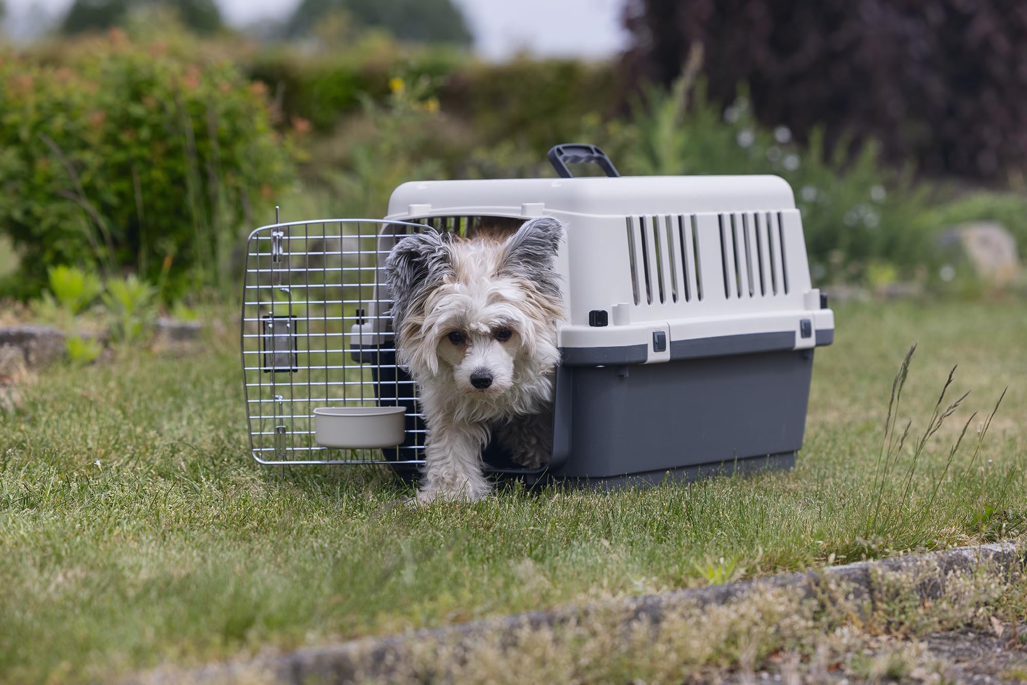 Karlie 513771 Nomad - Caja de avión para Perro y Gato, 62 x 40 x 41 cm (S)