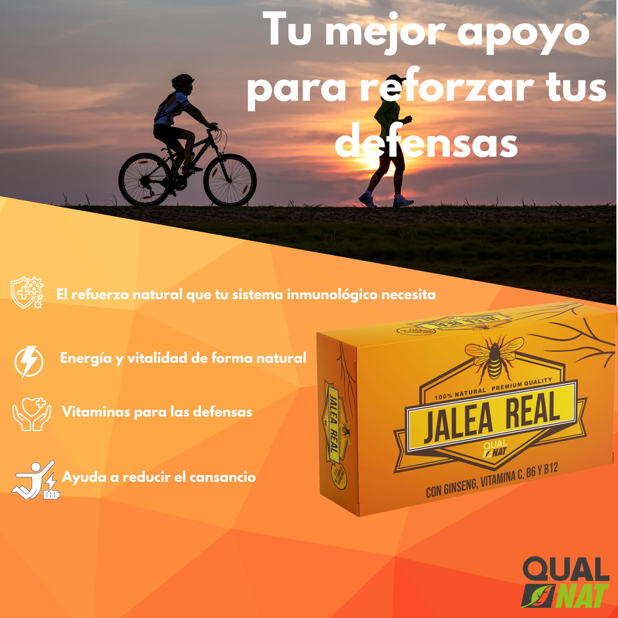Jalea Real 100% Natural - Suplemento con Ginseng y Vitamina C | Jalea Real 40 Ampollas - Ayuda a Reforzar el Organismo y el Sistema Inmunitario - con Vitamina B6 y B12 - QUALNAT