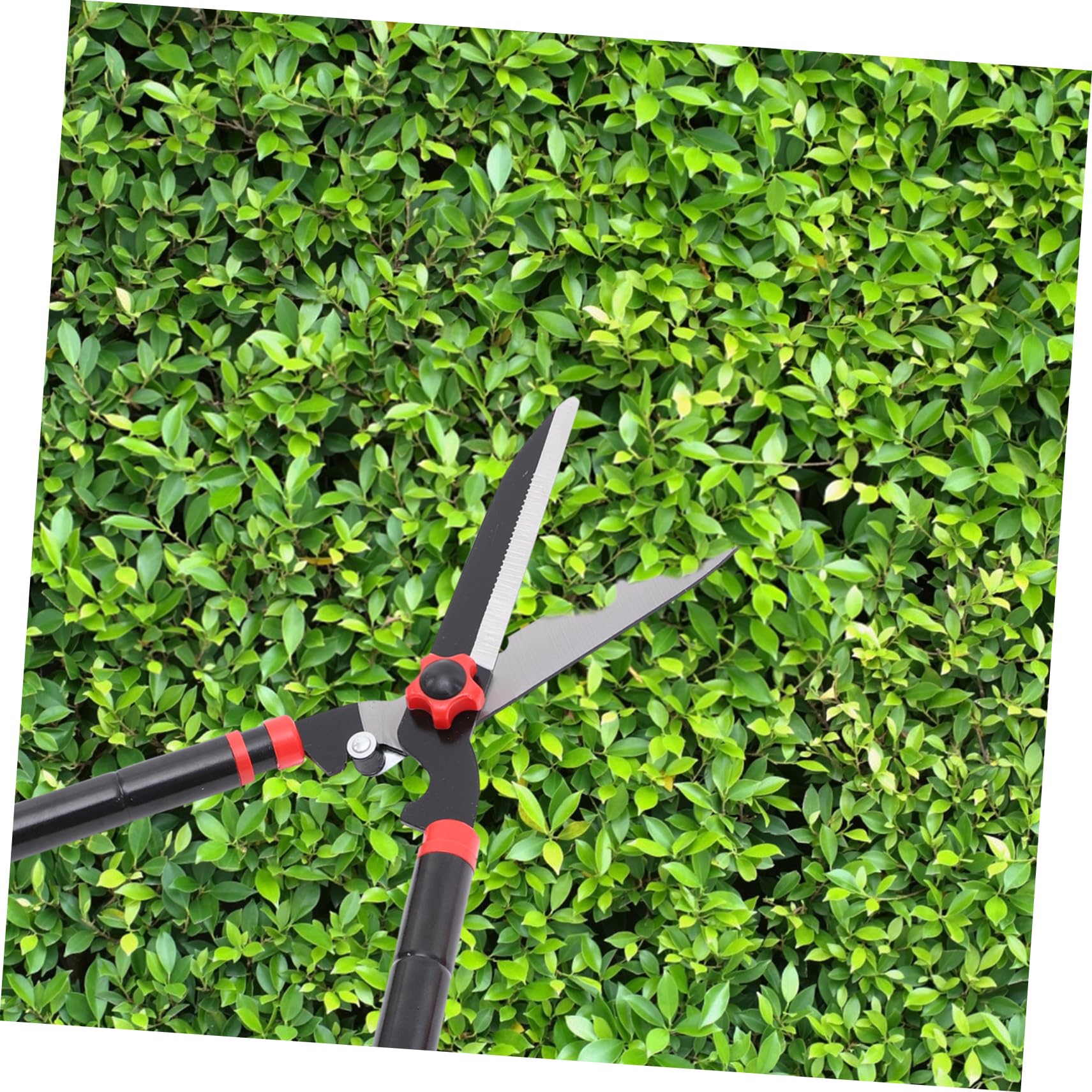 ibasenice Cesoie Da Giardino Manuali Per Siepi Attrezzi Da Giardinaggio Per Potatura Alberi Cesoie Per Arbusti in Acciaio Impugnature Ergonomiche in Gomma Antiscivolo
