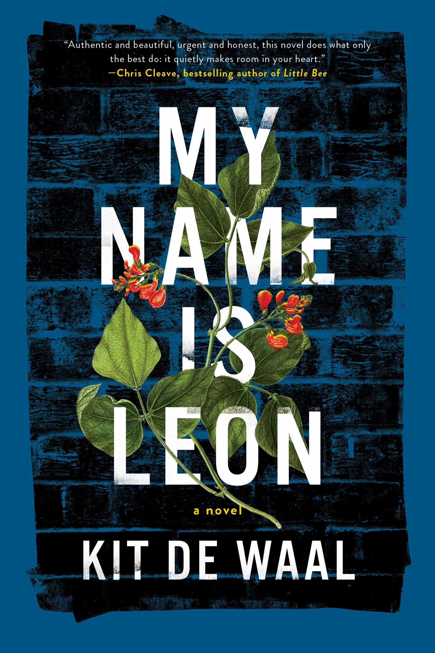 My Name Is Leon Amazon Co Uk De Waal Kit Books