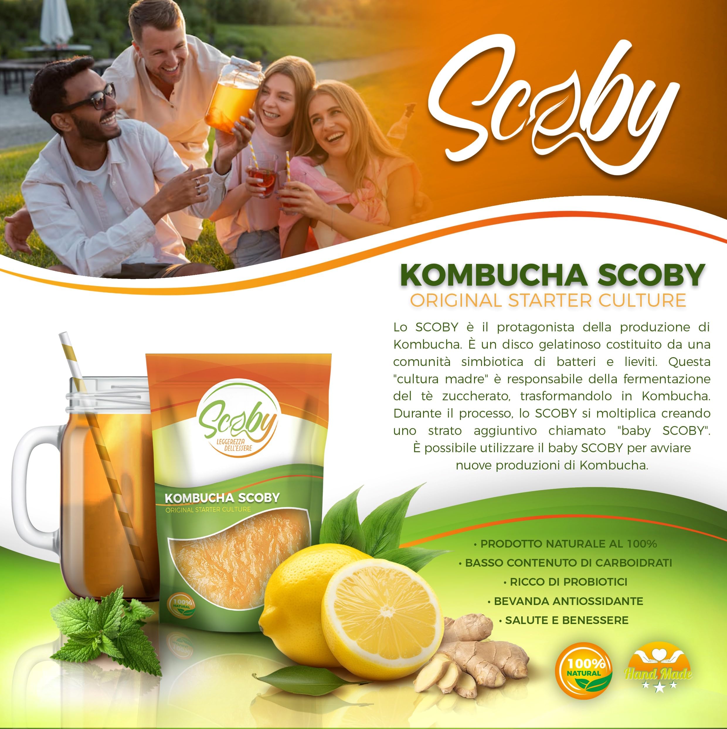 Beer & Wine Kit Preparazione di Kombucha in Casa, Bevanda Kombucha Artigianale, Starter Kombucha fai-da-te,Tè e Zucchero per Bevanda Kombucha Fatta in Casa