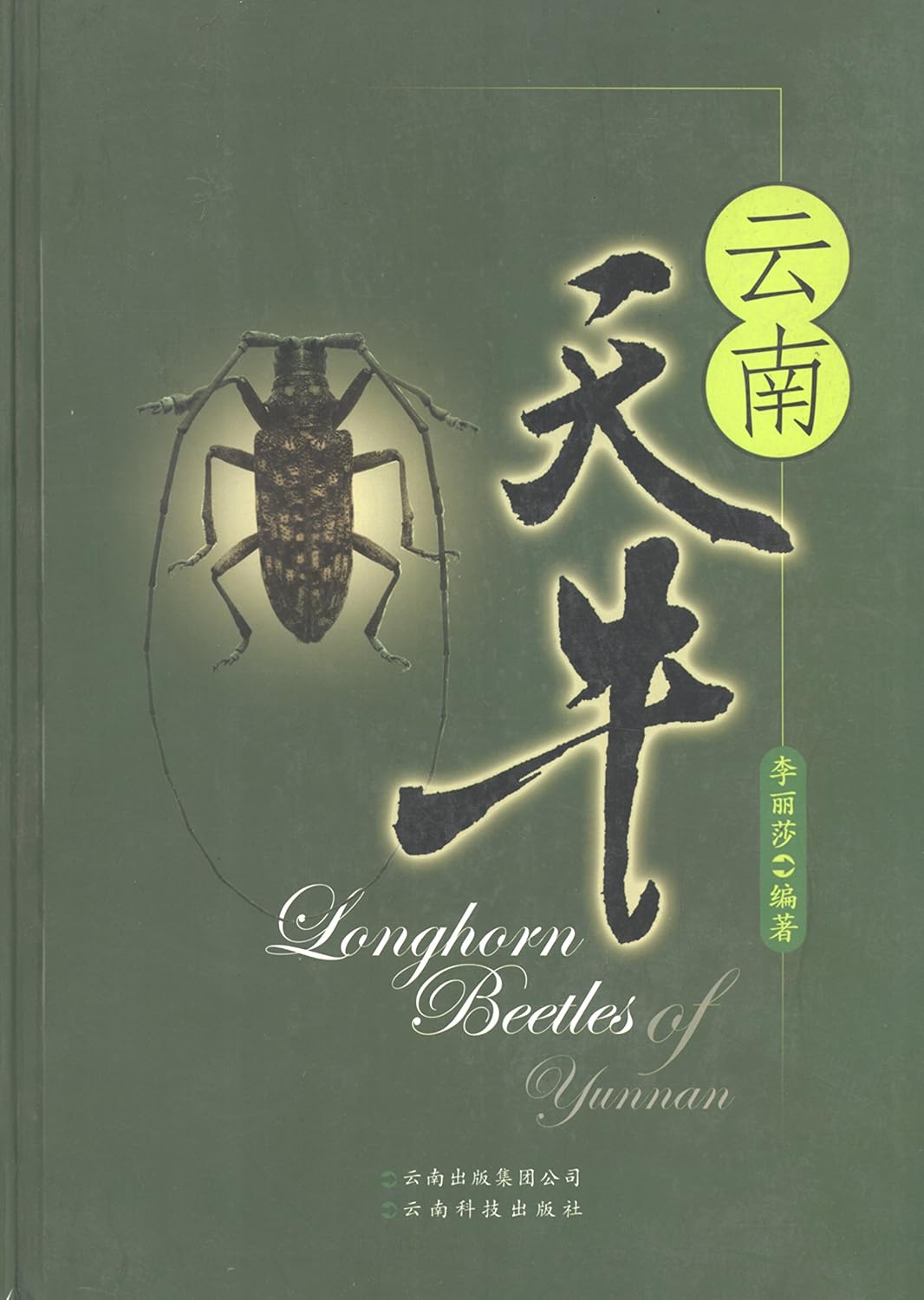 Amazon.com: 云南天牛 = Longhorn Beetles of Yunnan: 9787541627262: 李丽莎 [Li