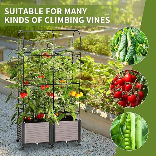 Miniatura 8 de Macetero elevado para cama de jardín con enrejado, macetas de tomate de 72.8 pulgadas para plantas trepadoras, vegetales, flores de vid al aire