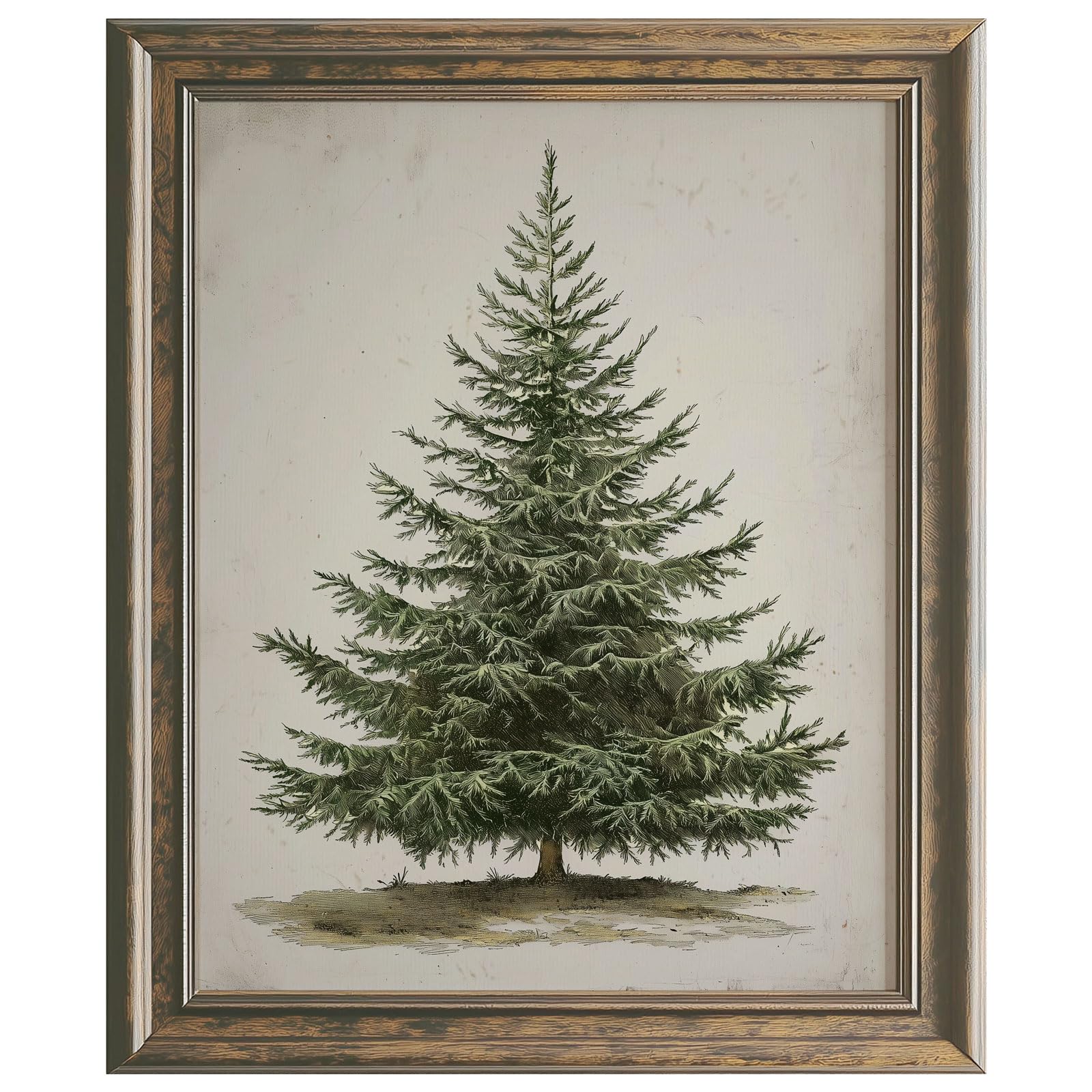 Generic Vintage Christmas Tree Print 11x14 inch Unframed Dark Matte Finish Fine Art Paper Rustic Botanical Style Perfect