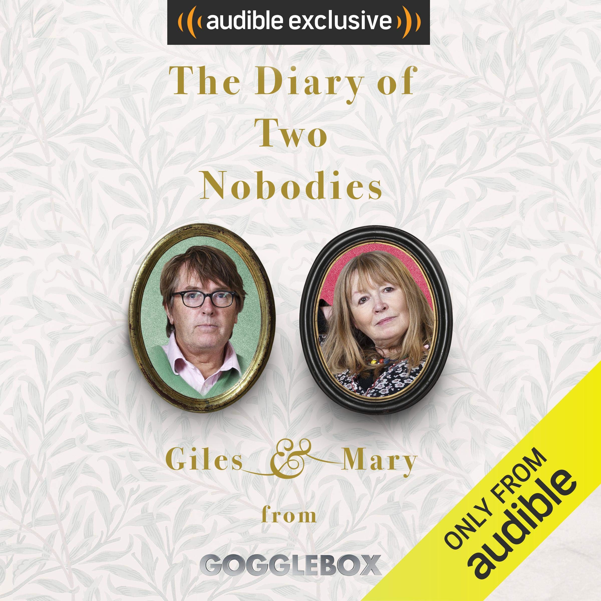 The Diary of Two Nobodies