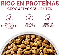 Vista 6 de Purina ONE Natural, alimento seco para perros con estómago sensible, fórmula +Plus para piel y pelaje - Bolsa de 31.1 libras