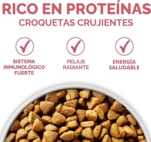 Miniatura 6 de Purina ONE Natural, alimento seco para perros con estómago sensible, fórmula +Plus para piel y pelaje - Bolsa de 31.1 libras
