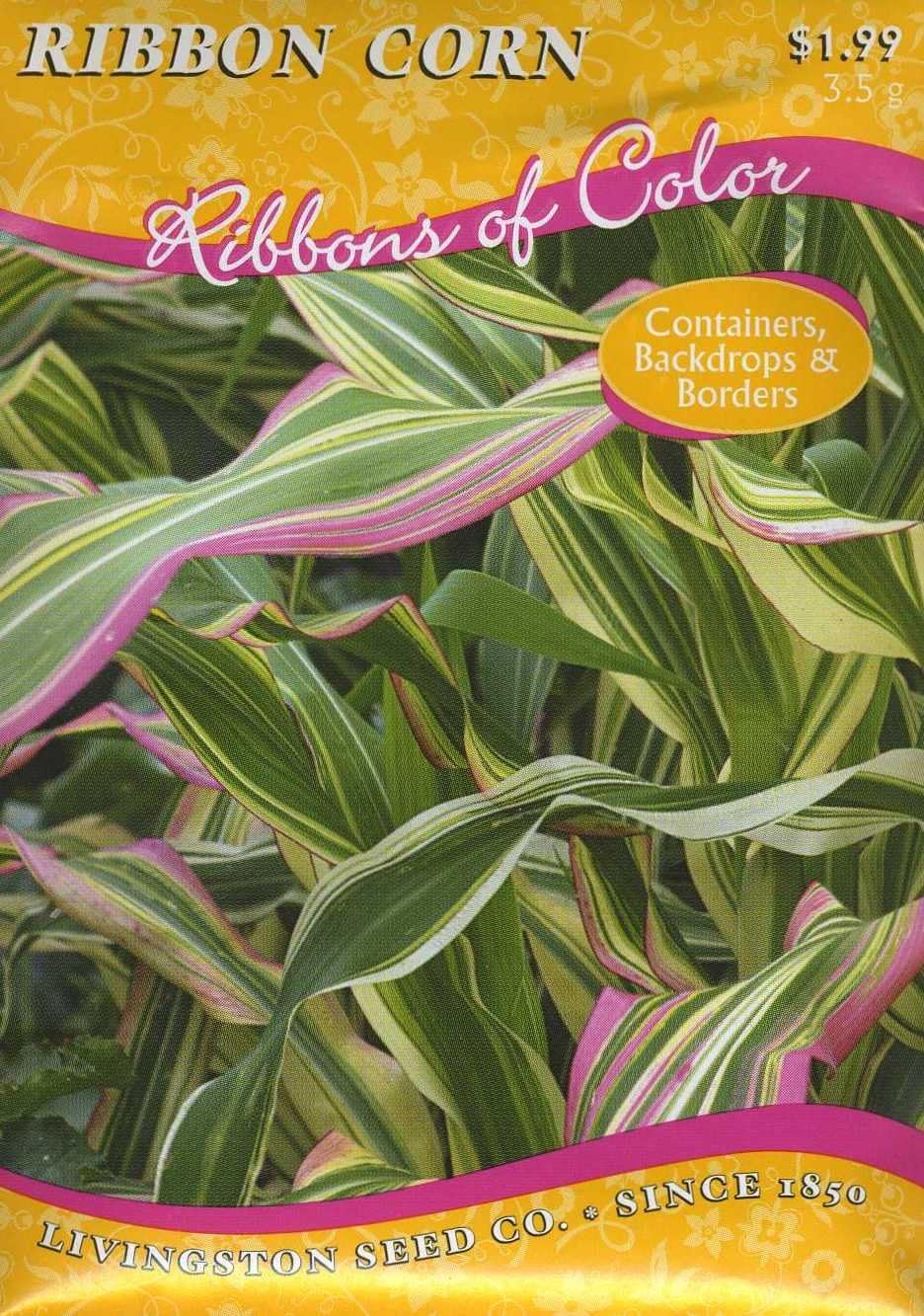Corn Ribbons Amazon.com: Ribbon Corn : Health & Household