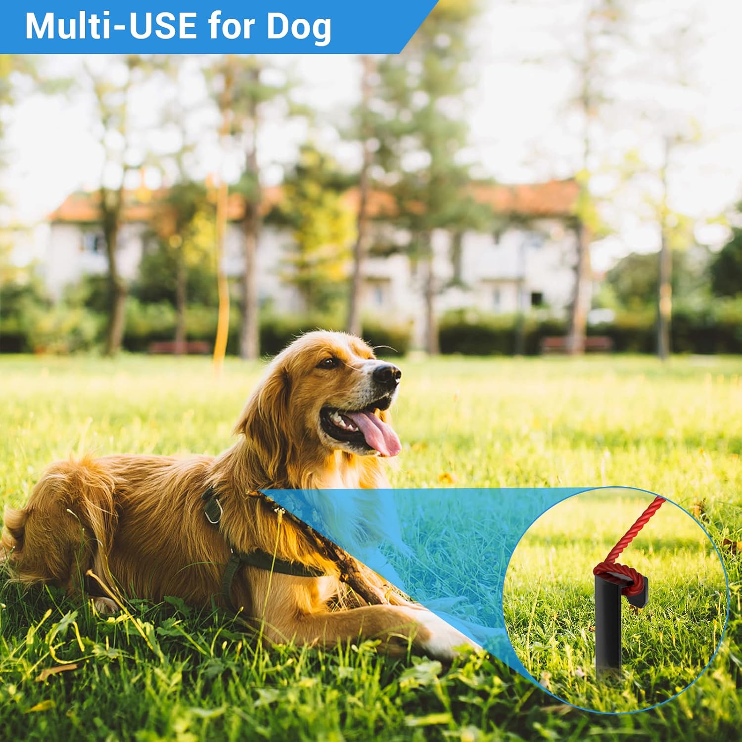 20Pcs Metal Landscape Edging Stakes, 8.5In Garden Stakes Landscape Anchoring Spikes for Terrace Board, Landscape Edging Coil, Grass Barrier, Bender Board, Garden Liner, Black - Image 7