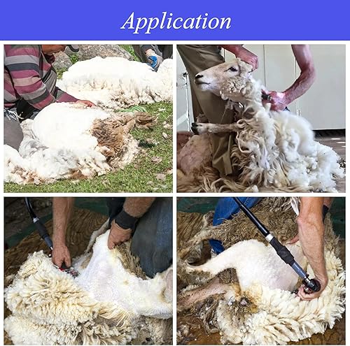 Miniatura 4 de Junniu Cuchillas de repuesto para tijeras de oveja, cuchillas de corte de oveja, cuchillas desmontables para cortador eléctrico profesional, peine