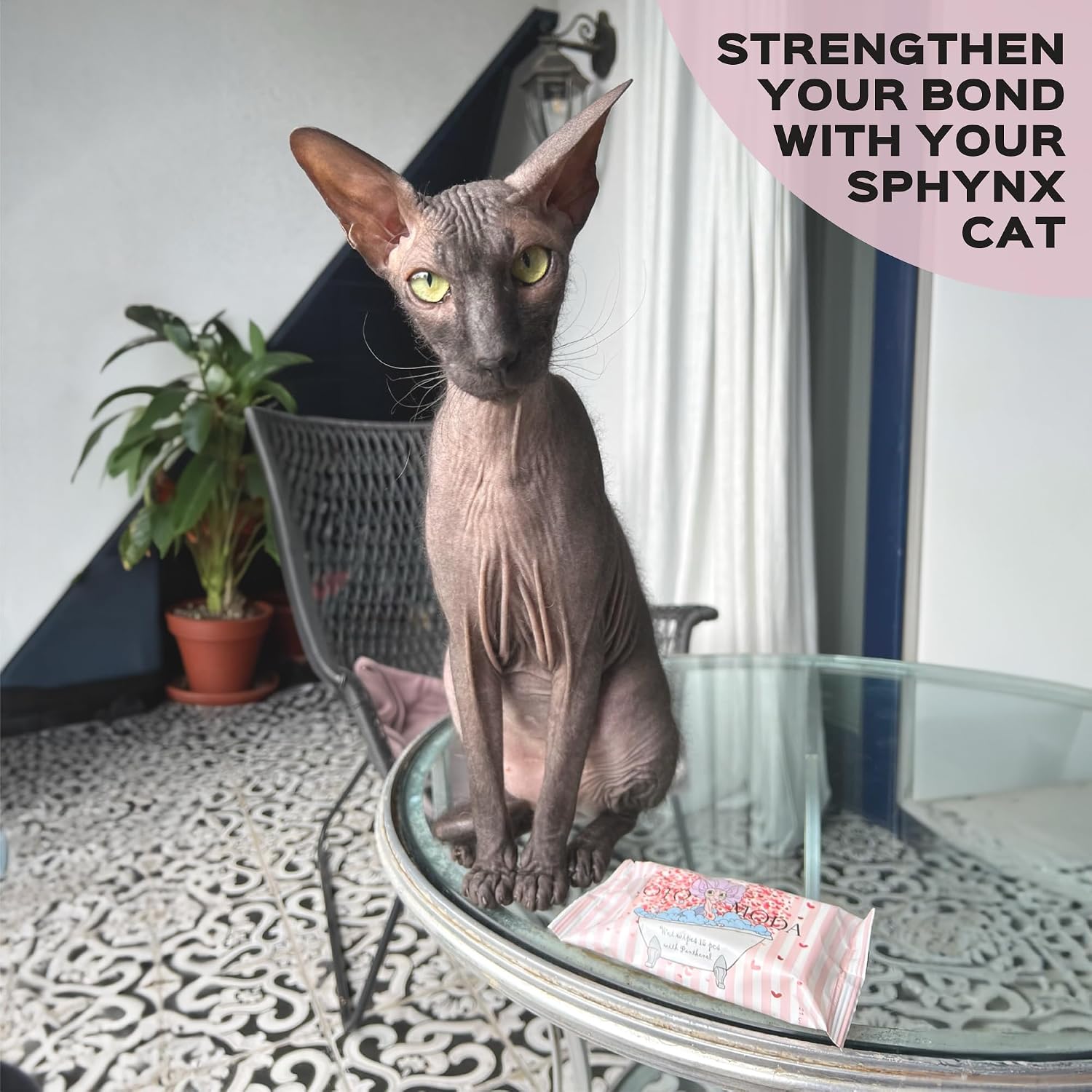 Wet Wipes with Panthenol for Sphynx & Shorthair Cats — 16Pack/240Count Pack, Hypoallergenic Dander & Odor Grooming Wipes