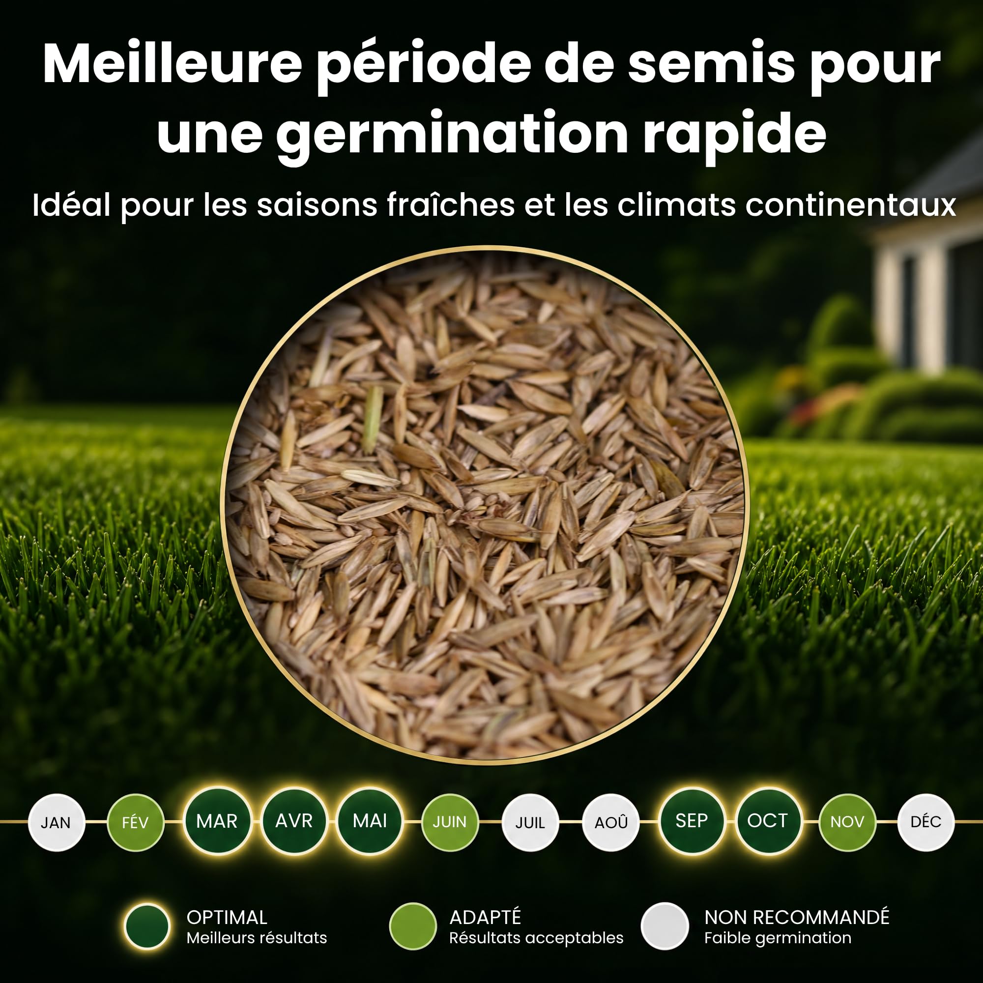 LERAVA Turbo gazon à semer pousse rapide 10m² pelouse ombre zones fraîches 98% pureté rustique vert vif semence résistante