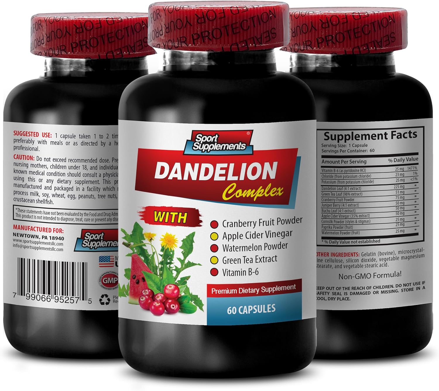 Antioxidant Complex with Dandelion Boost Dandelion