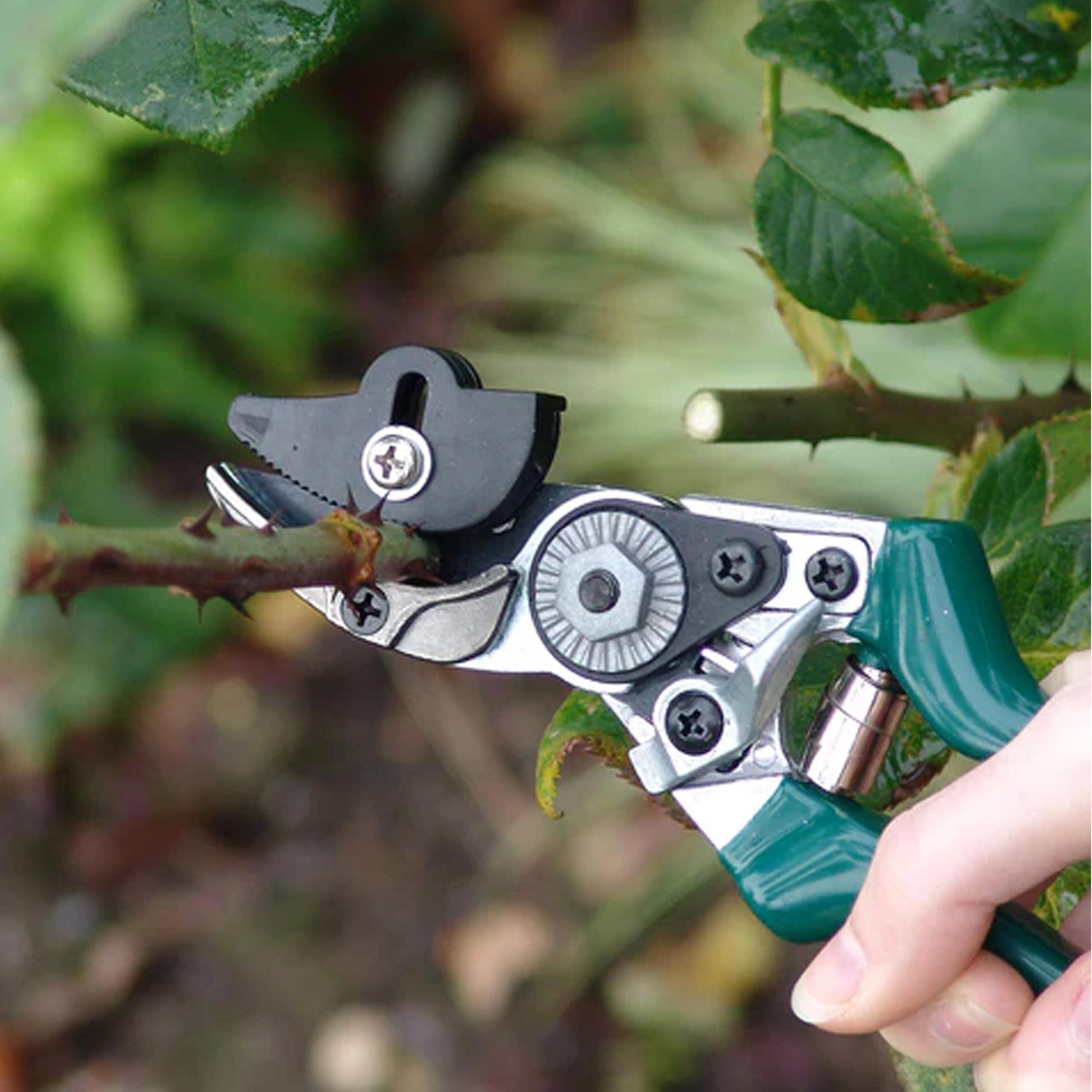 Burgon & Ball – Rosen-Gartenschere