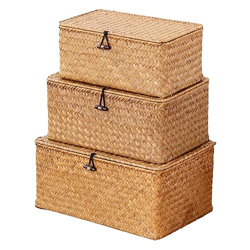 Nonam Storage Basket with Lid, Natural Seagrass Bin with Lid