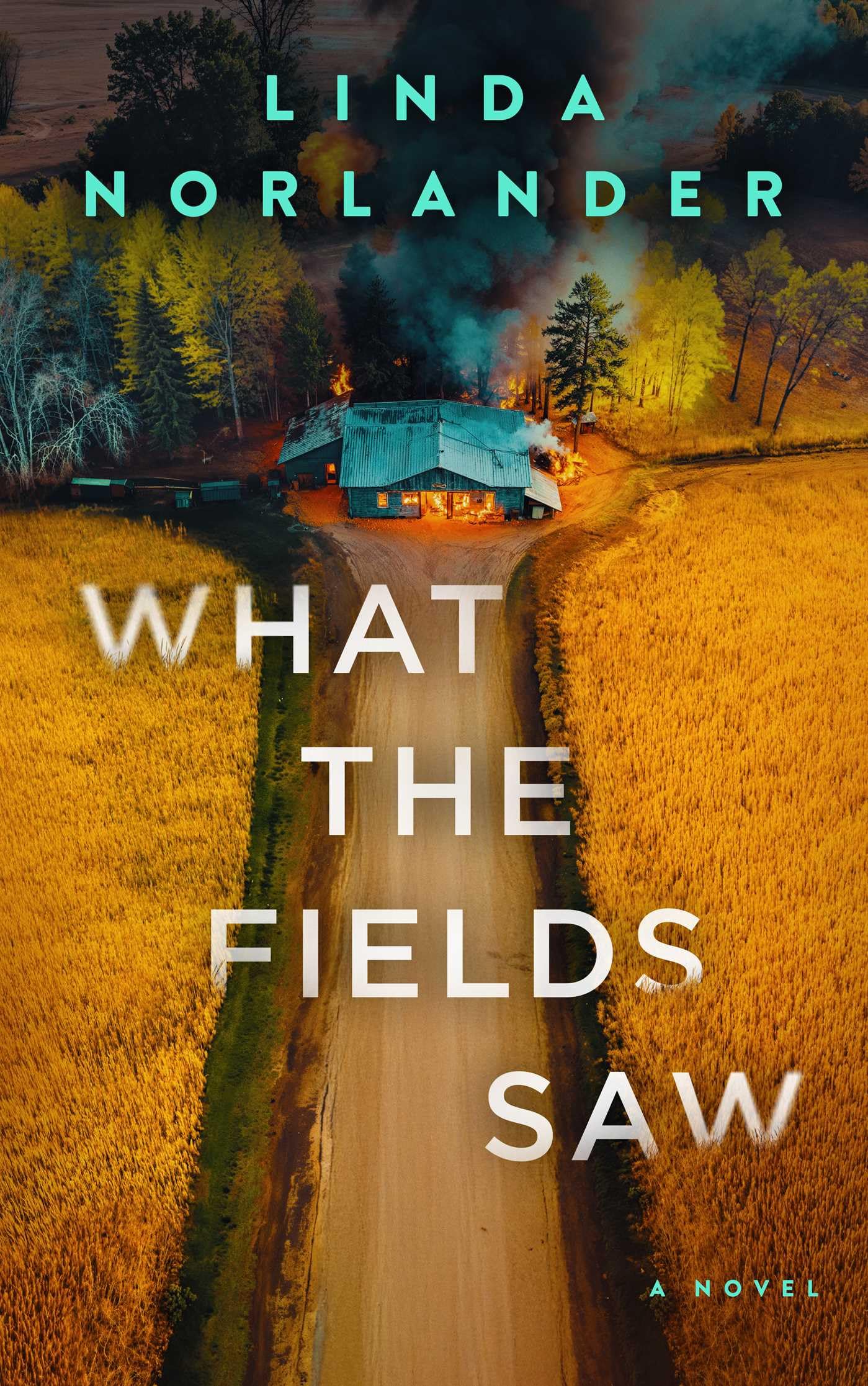 What the Fields Saw: 3 (Sheriff Red Mysteries)