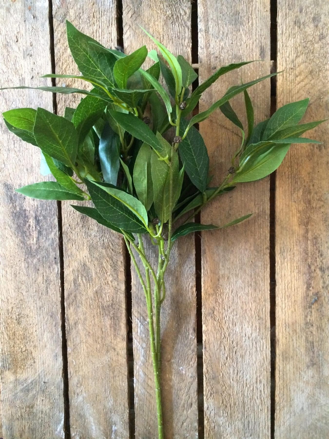 1 x Bunch of Artificial Bay Leaves, Laurel Leaf Bunch, Realistic Faux Greenery Spray, Realistic Stem of Large Faux Greenery Leaves, Realistic Likelike Fake Greenery Decoration with Black Berries