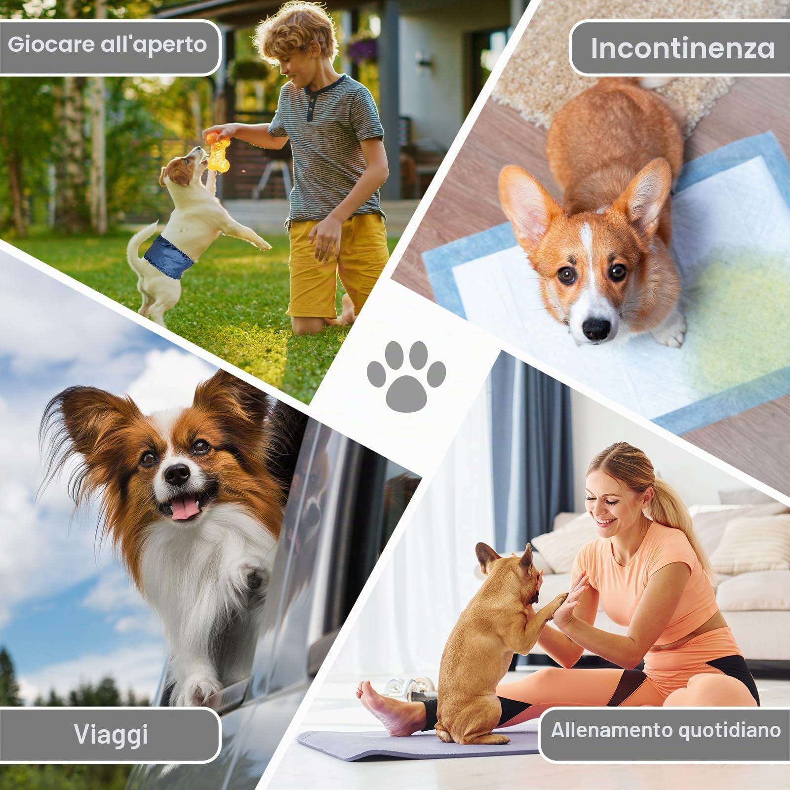 MICOOYO Pannolini lavabili per cani maschi, pannolini assorbenti per cani con chiusura a strappo regolabile, pannolini riutilizzabili per cani, confezione da 3, M