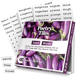 Poetry Tiles - 536 Dirty Words Word Magnets - Smut Adult Themed Kit for Refrigerator Poems and Stories