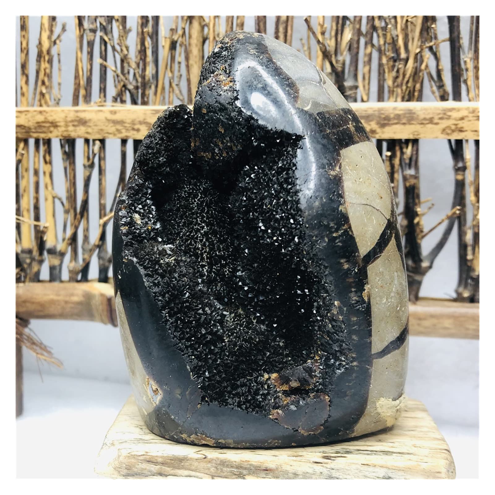 ジオード亀 ジオード亀