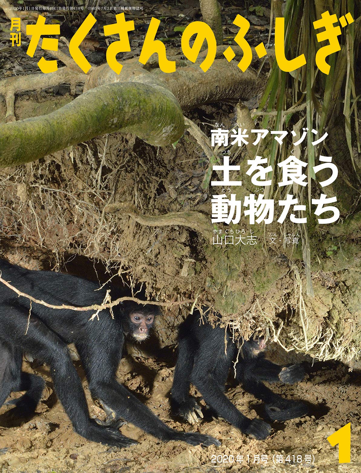 南米アマゾン 土を食う動物たち 月刊たくさんのふしぎ年1月号 山口 大志 本 通販 Amazon 南米アマゾン 土を食う動物たち 月刊たくさんのふしぎ年1月号 山口 大志 本 通販 Amazon
