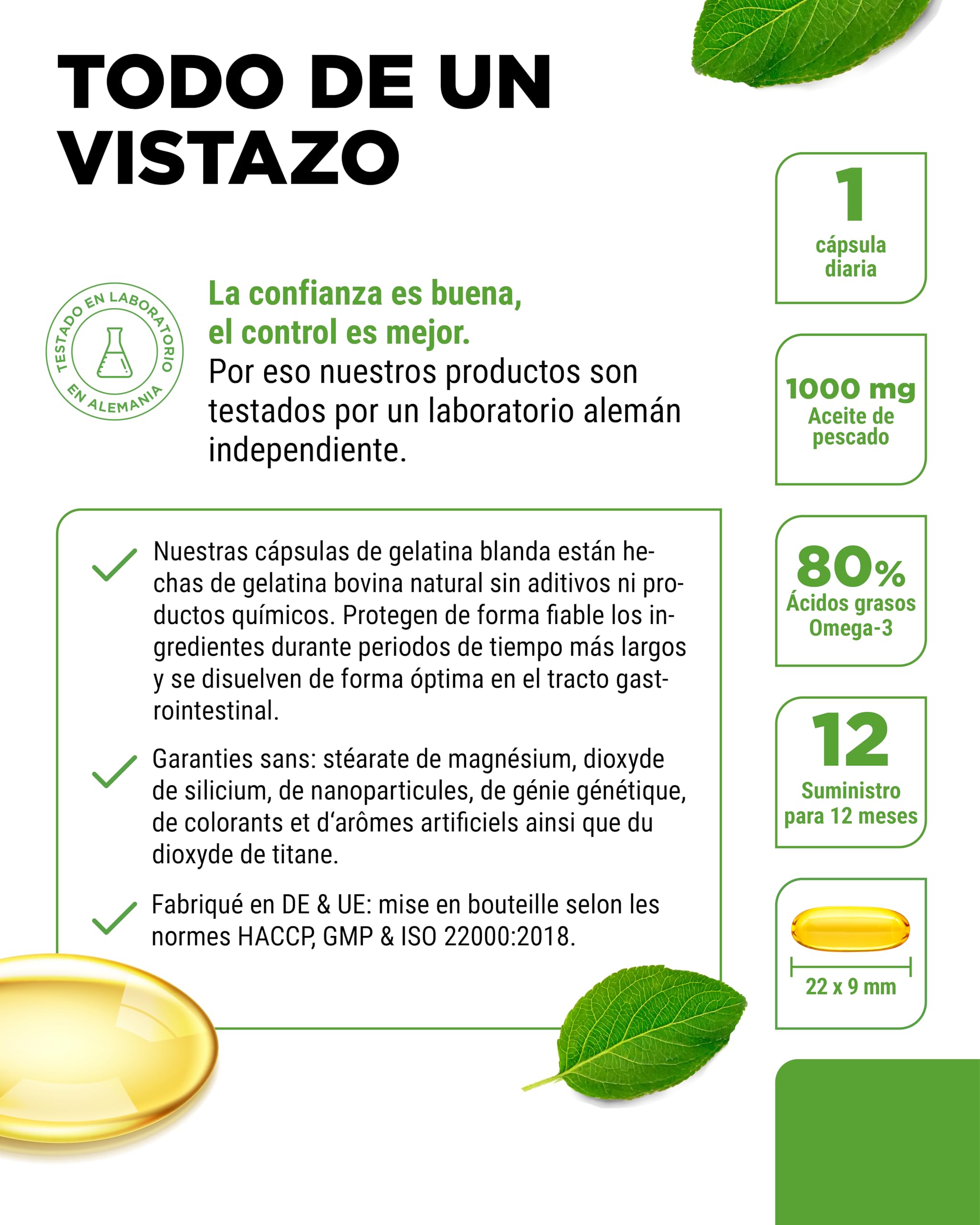 Omega 3 Premium Con Einem 80% De Ácidos Grasos - 365 Cápsulas - 1000 Mg De Aceite De Pescado Por Cápsula Con EPA Y DHA - En Forma De Triglicéridos - Elaboradamente Purificado A Partir De Pesca Sosteni