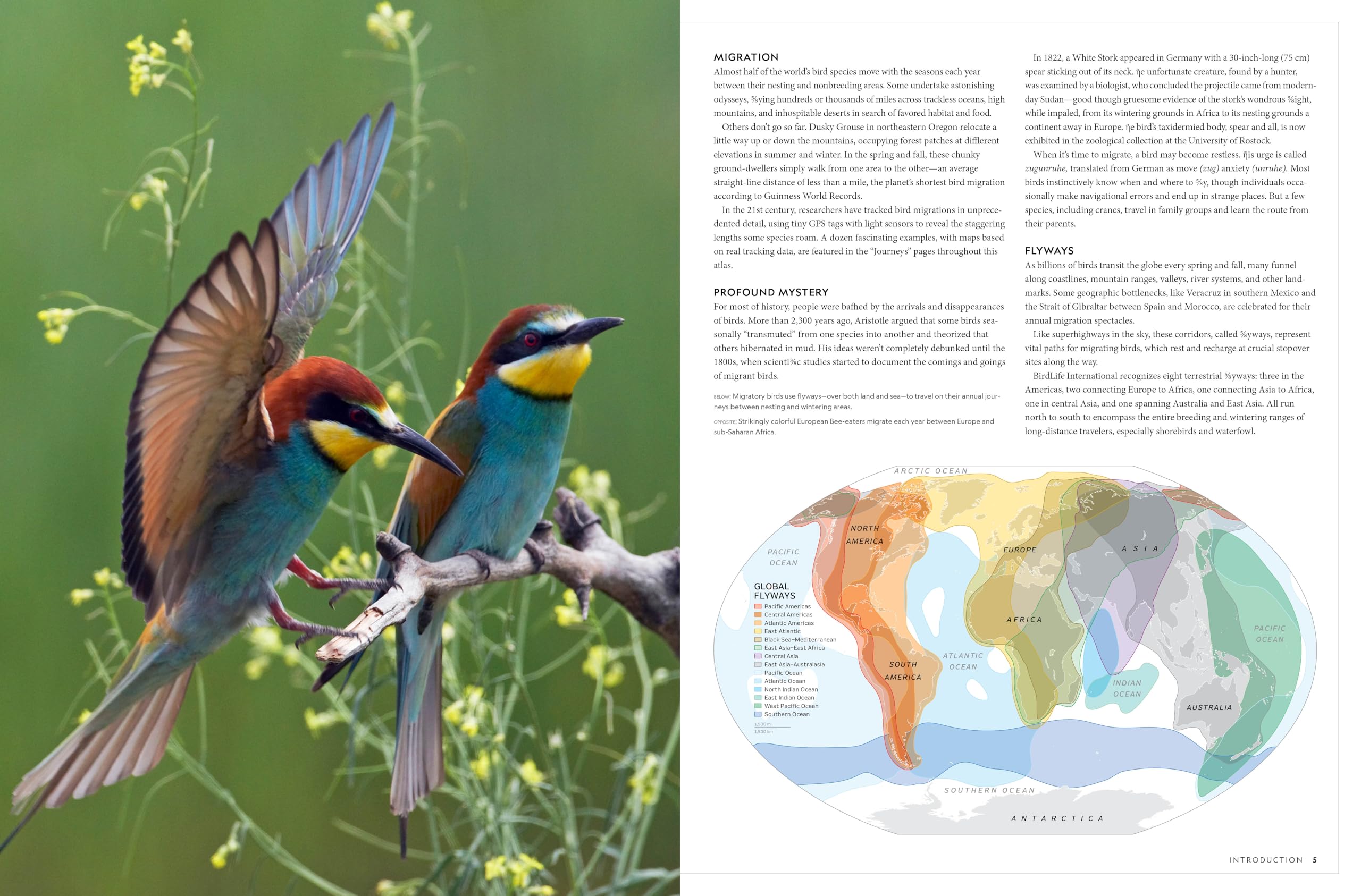 National Geographic Birder's Atlas of the World
