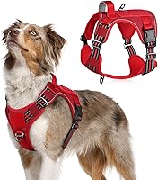 Vista 59 de rabbitgoo - Arnés táctico para perros grandes, chaleco de servicio militar sin tirones con asa y equipo Molle, fácil control para entrenar