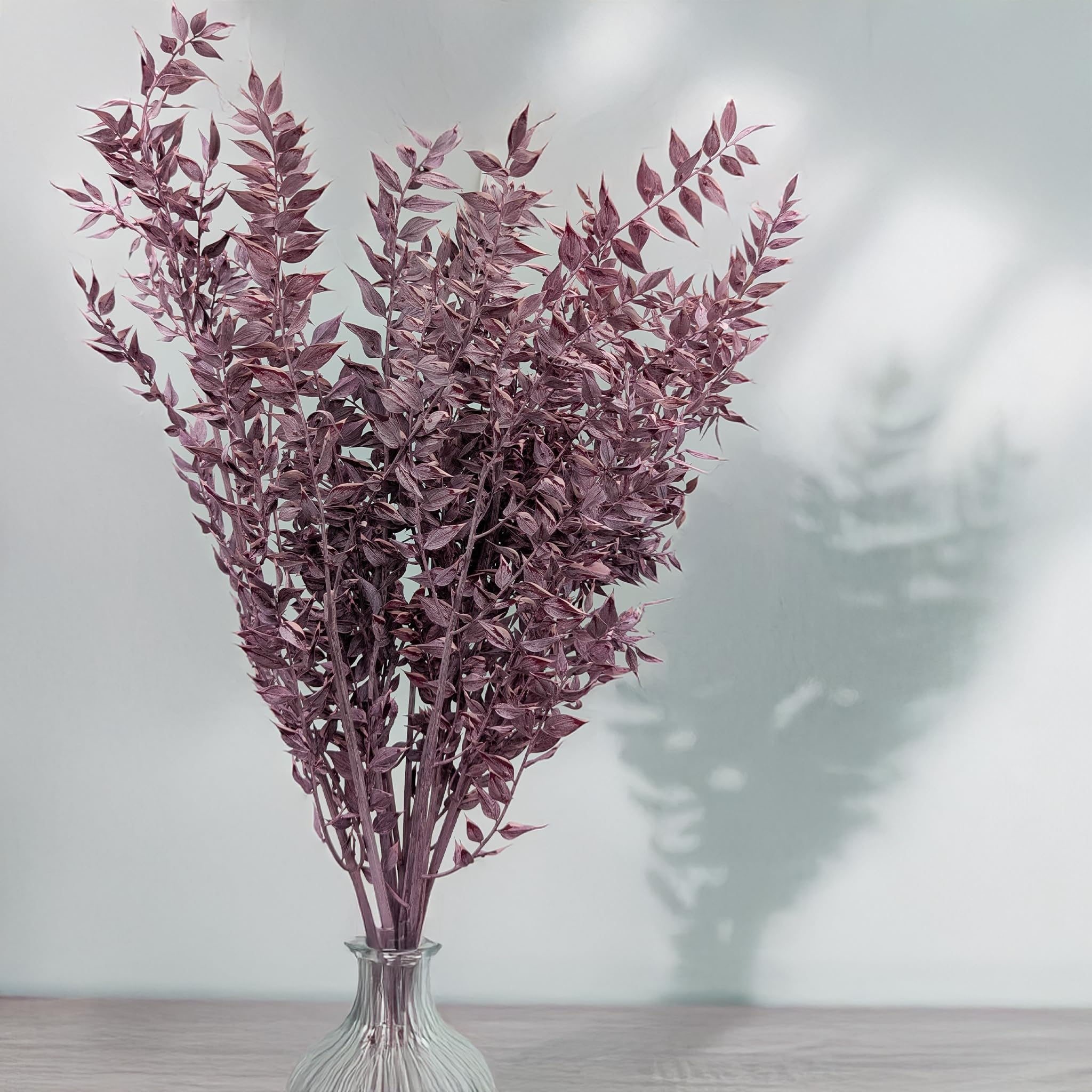Enchanted Fleurs Séchées Naturelles, Ruscus Stabilisé, 100 g, Violet Mat