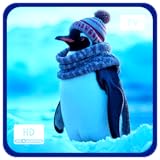 CozyCorner ScreenApps