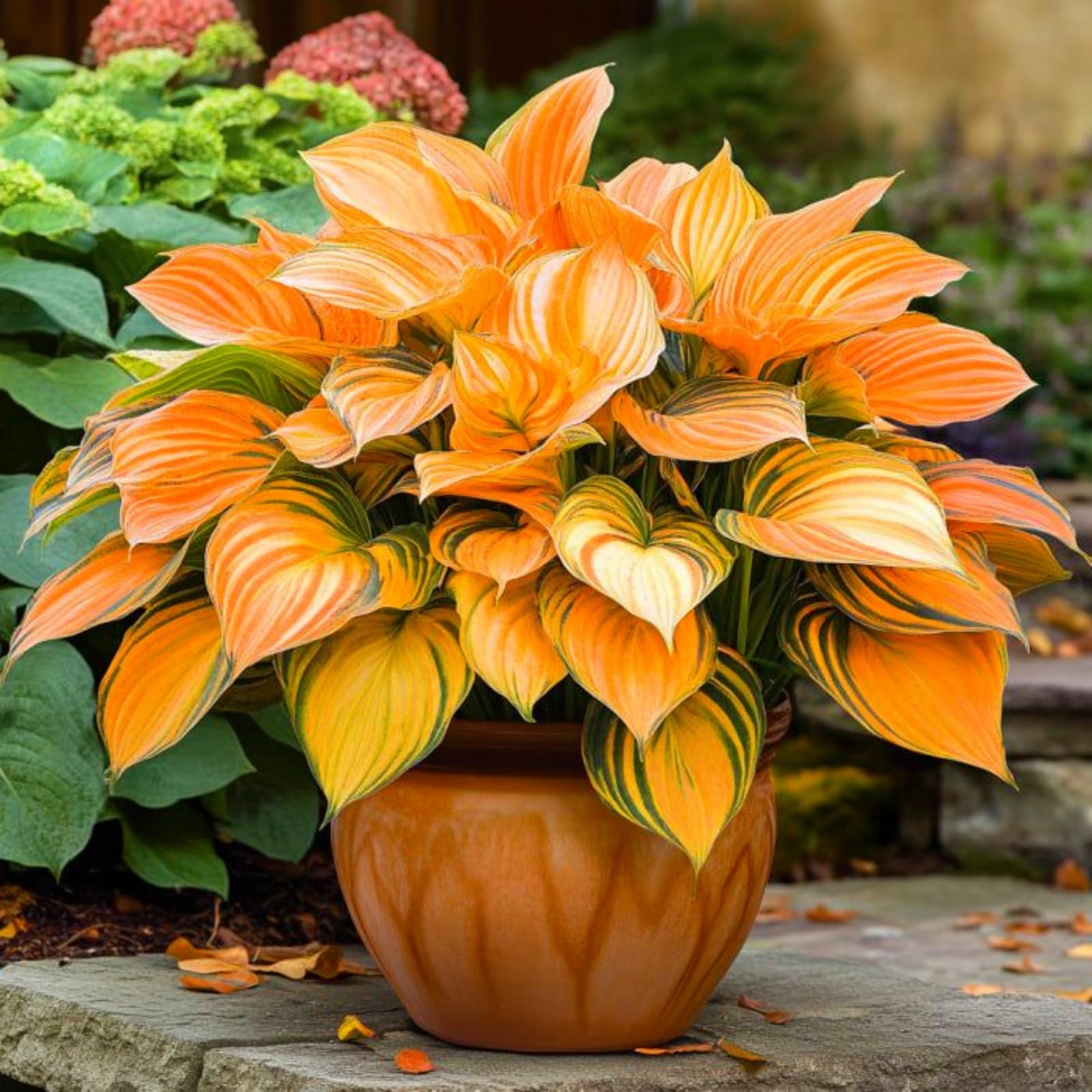 Hosta Mix, Surprisingly Growing, Hardy Perennial, Suitable for Spring and Autumn, Garden Viewing, No Watering Required-4 Bulbs-A