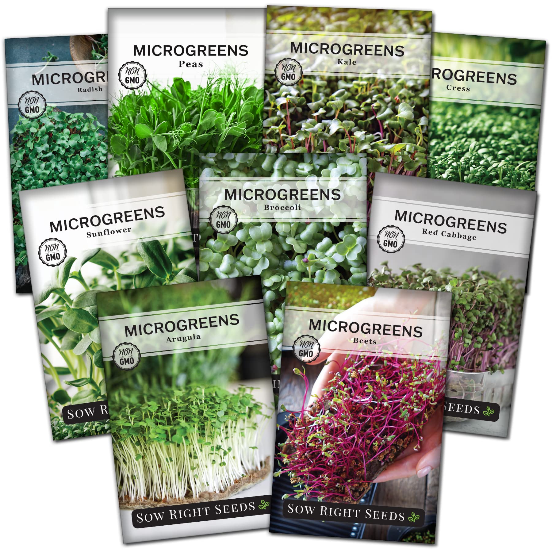 Microgreens Seeds The Ultimate Guide to Growing and Harvesting Them