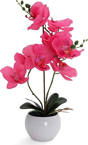 Miniatura 7 de Bornbridge Orquídea artificial, planta falsa con flores de tacto real, flores artificiales de tallo largo sintético, flores falsas en maceta