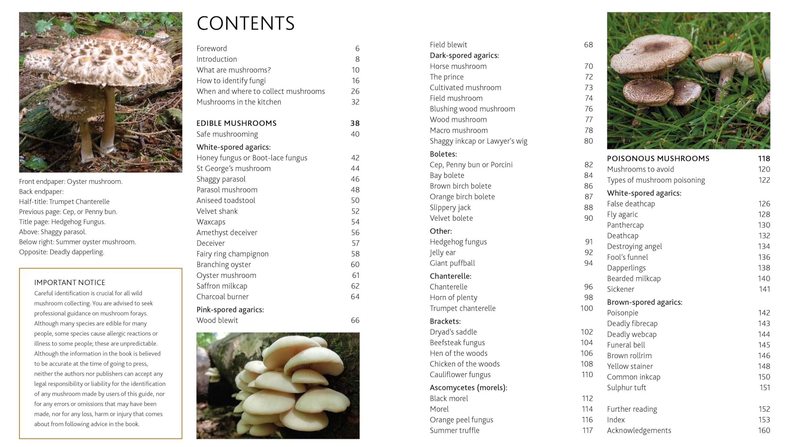 The Mushroom Guide & Identifer: An Expert Manual for Identifying, Picking and Using Edible Wild Mushrooms Found in Britain