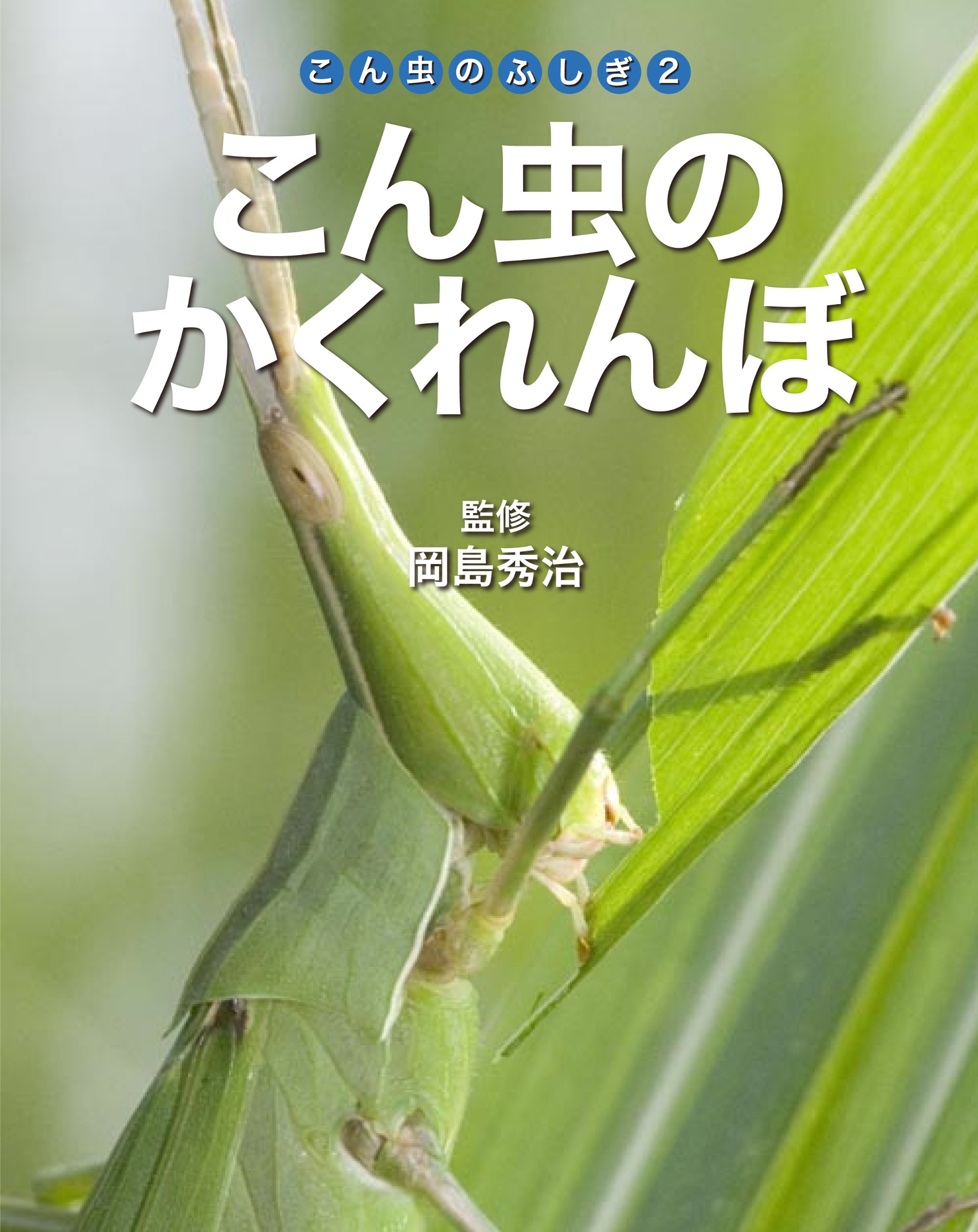 Amazon.co.jp: こん虫のかくれんぼ (こん虫のふしぎ) : ネイチャー