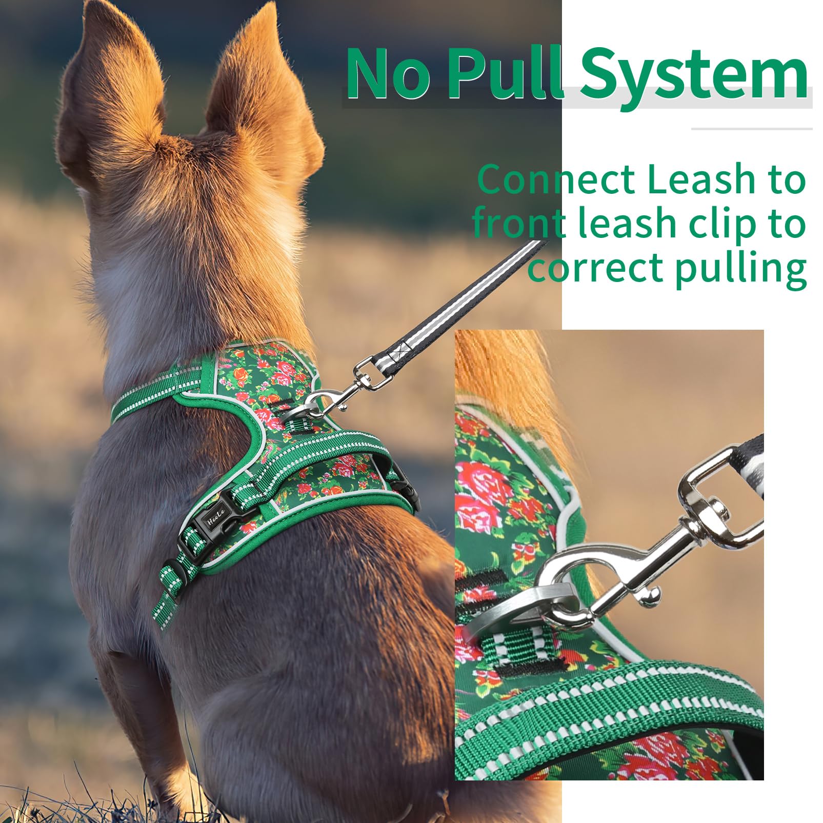 HEELE Pettorina Cane Taglia Grande con Motivo Stampato, Riflettente Pettorina Addestramento Cani Anti Tiro con 2 Ganci in Metallo + Maniglia, Gilet per Cani Regolabile, Fiore-Verde, XL
