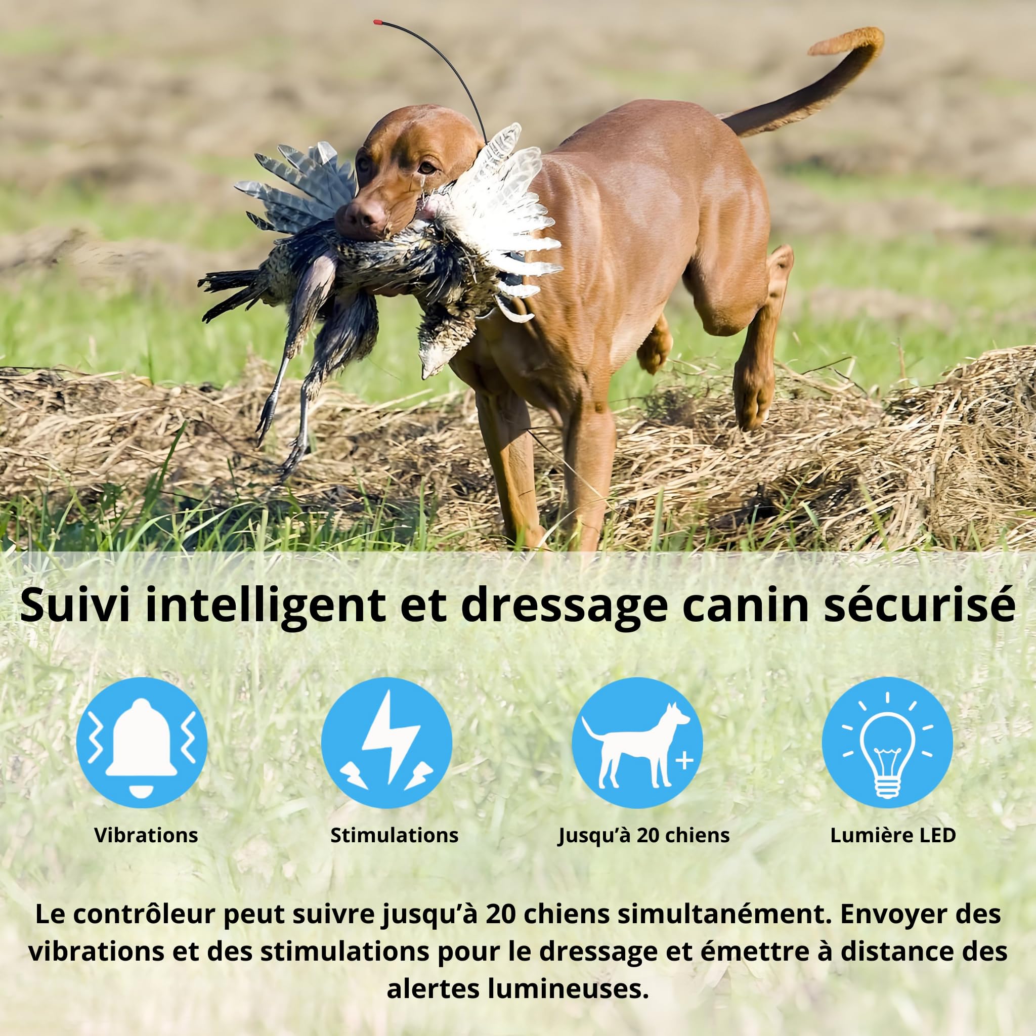ESEEK GPS Collare per cane da caccia VHF 15 km + 4G – Monitoraggio in tempo reale, portata illimitata, luce LED, antiurto, impermeabile IP68, tracker GPS Pro per cani da caccia – monitoraggio