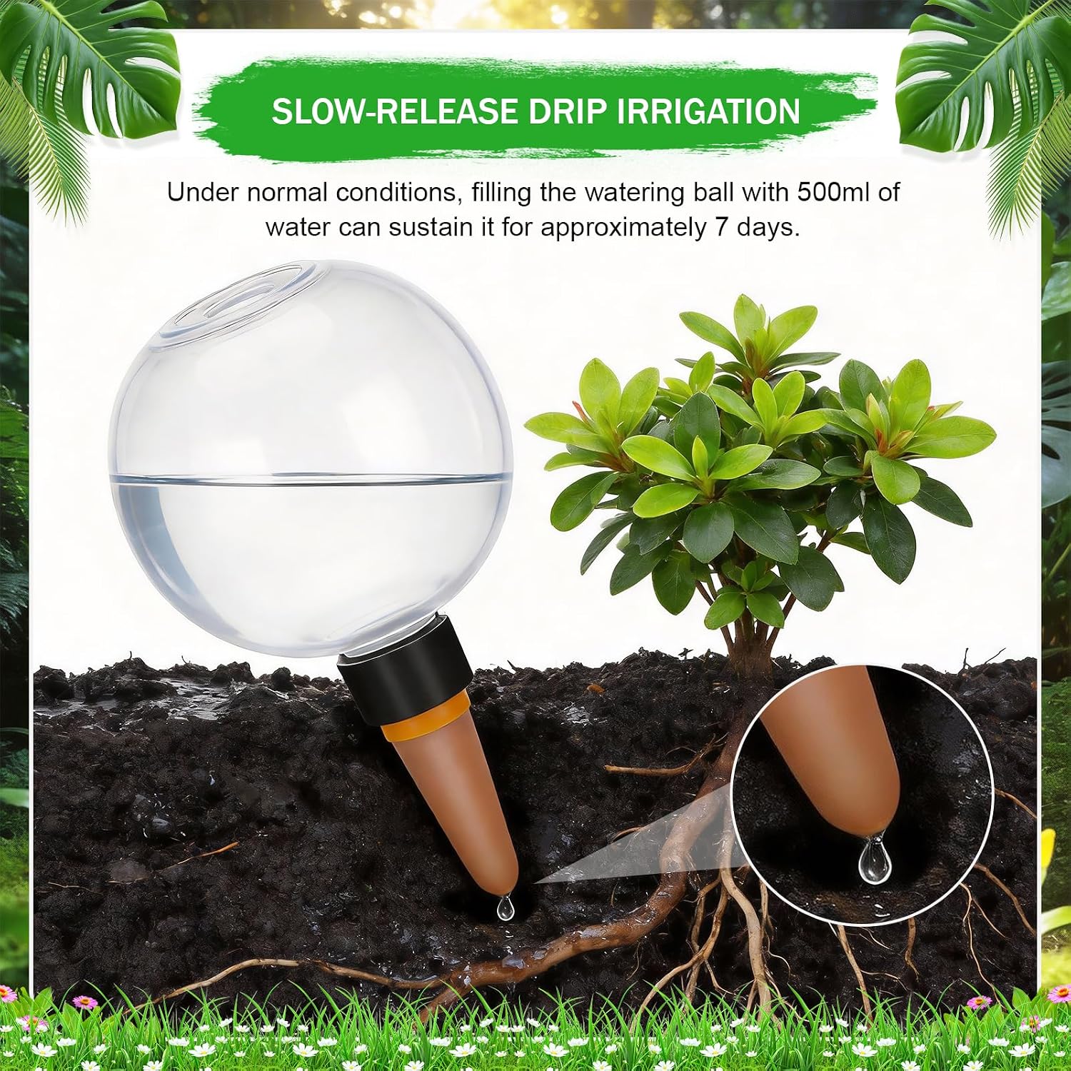 4 Pack Plant Watering Globes, 17oz Self Watering Planter Insert, Indoor/Outdoor Plant Watering Devices for Automatic Drip Irrigation image 3