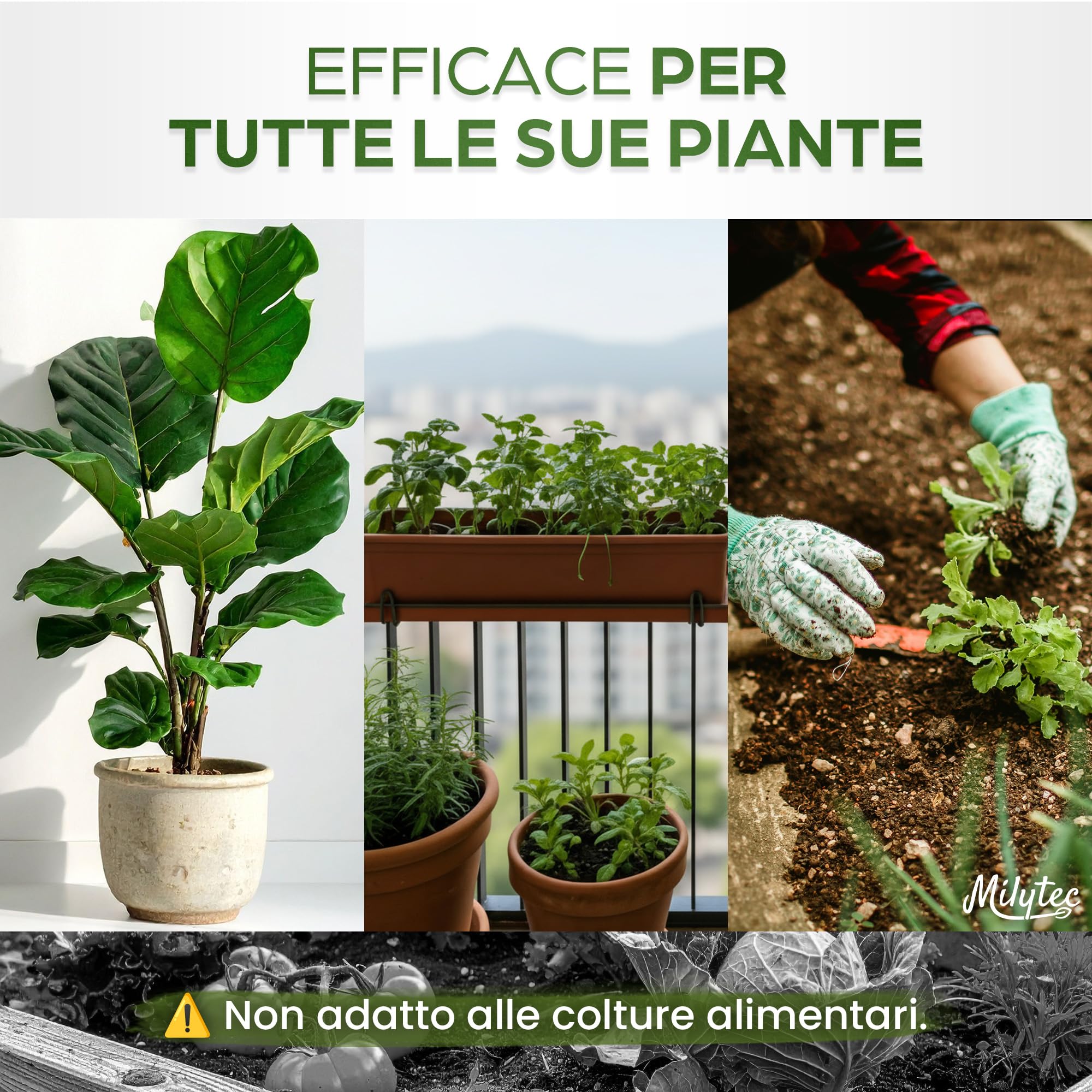 MILYTEC® Acqua Gel per Piante 1kg - per Riserva Acqua Terreno - Idratazione Prolungata per Vasi e Giardini Indoor e Outdoor - Assorbimento Rapido e Rilascio Graduale