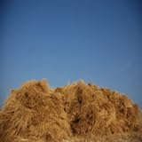 New Star Restaurant Coffee Shop Siwa Oasis