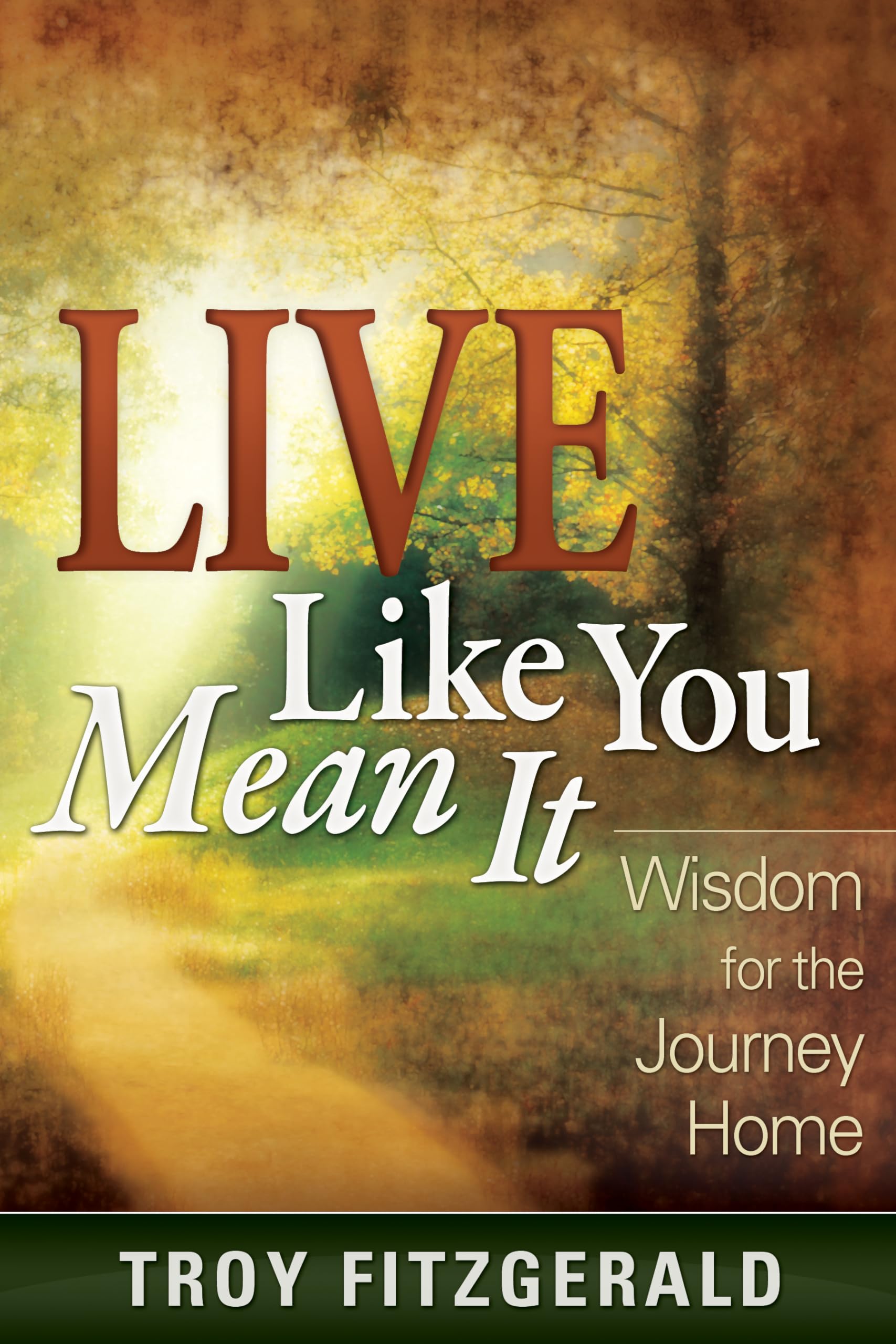 Buy Live Like You Mean It: Wisdom for the Journey Home — BookShops.in